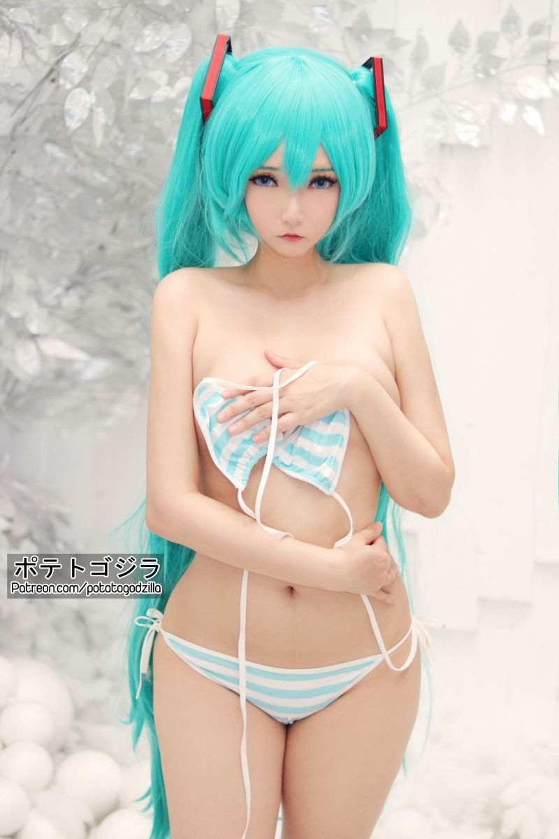 越南 Potato Godzilla NO.75 Hatsune Miku [23P-41MB]插图