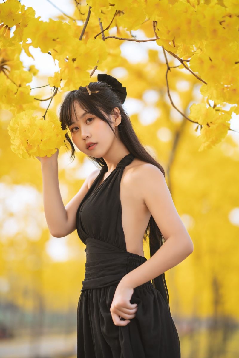 萌芽儿o0 NO.026 秋有银杏 春有黄风铃 [24P-170M]插图