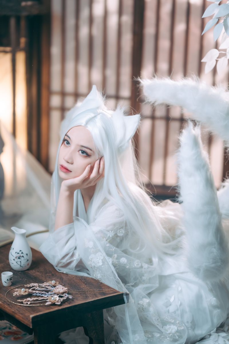 008 贰加六 千雪九尾 [23P115M]插图