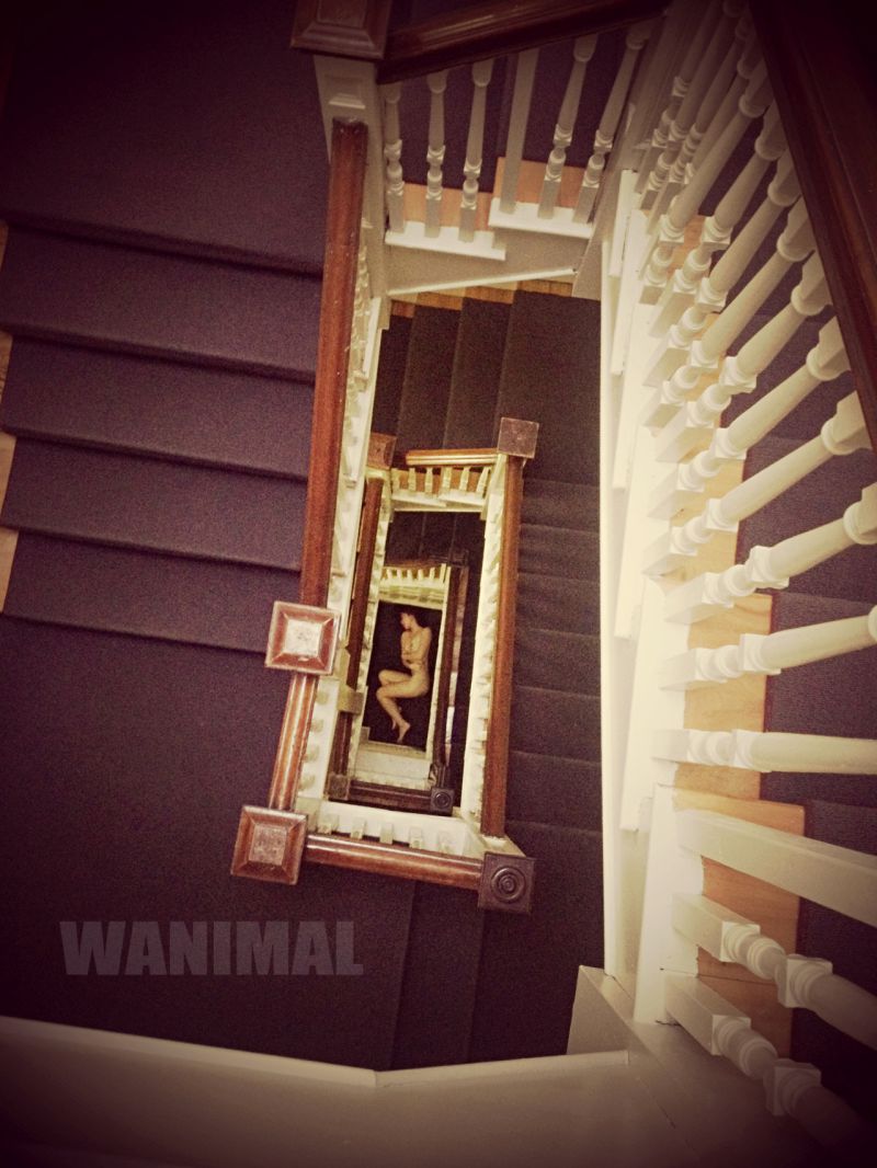 【WANIMAL】2014年02月作品集【5P】插图