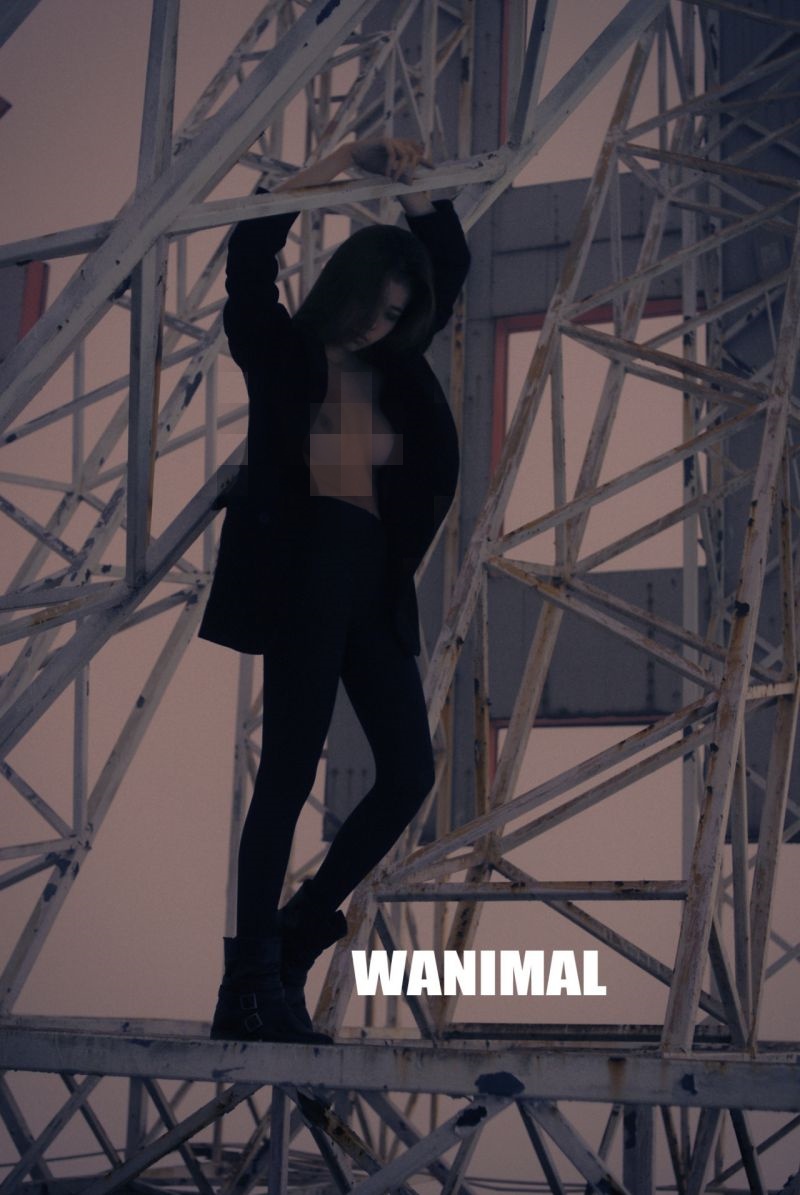 【WANIMAL】2013年04月作品集【14P】插图