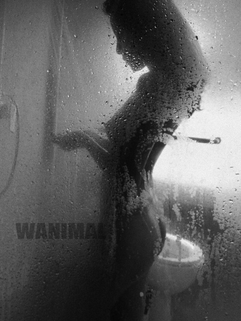 【WANIMAL】2013年11月作品集【10P】插图