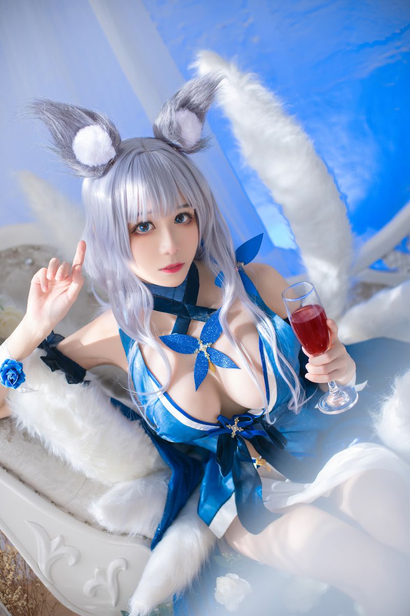Tomoyo酱 – NO.017  碧蓝航线信浓[22P-91M]插图