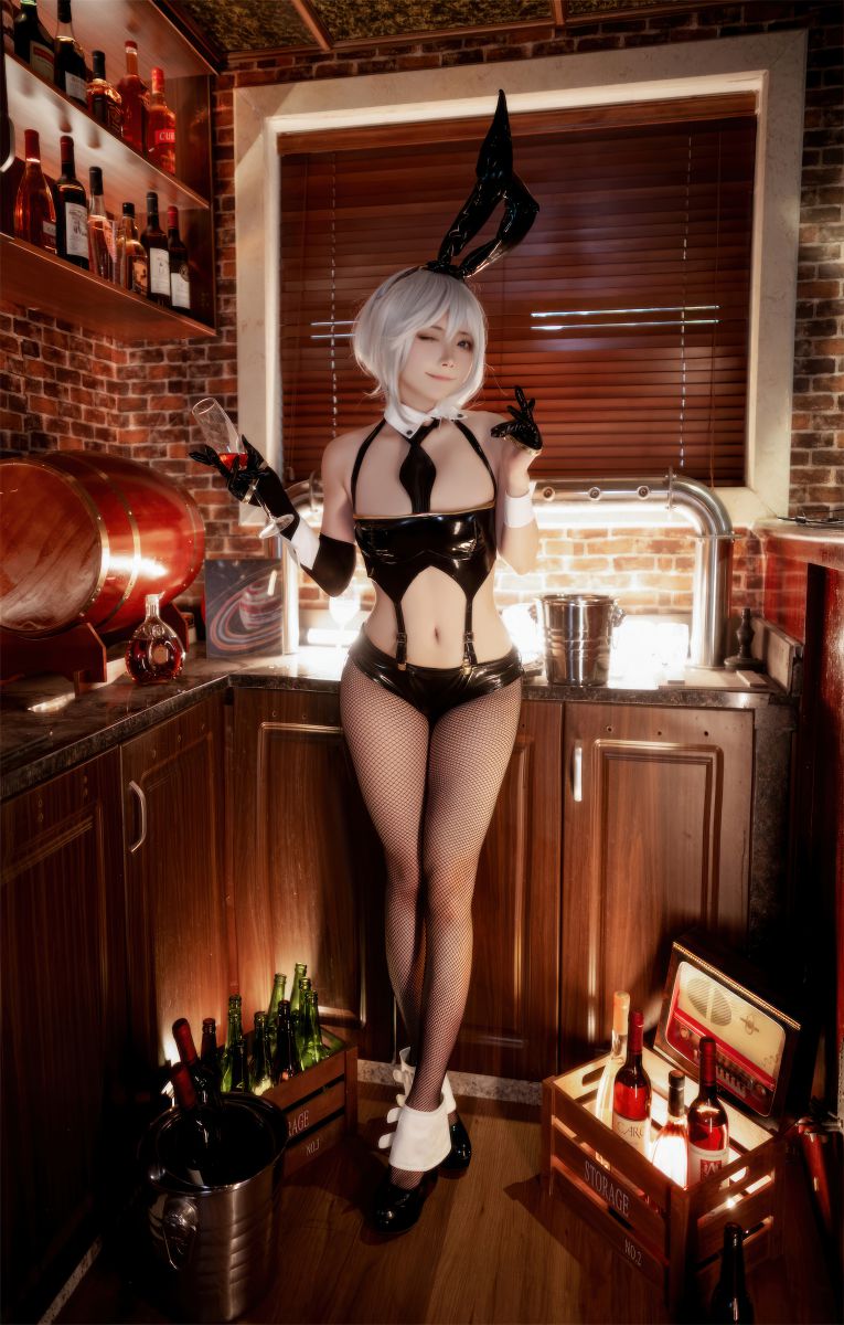是三不是世w – NO.029 华盛顿兔女郎37P[37P-201.6M]插图1
