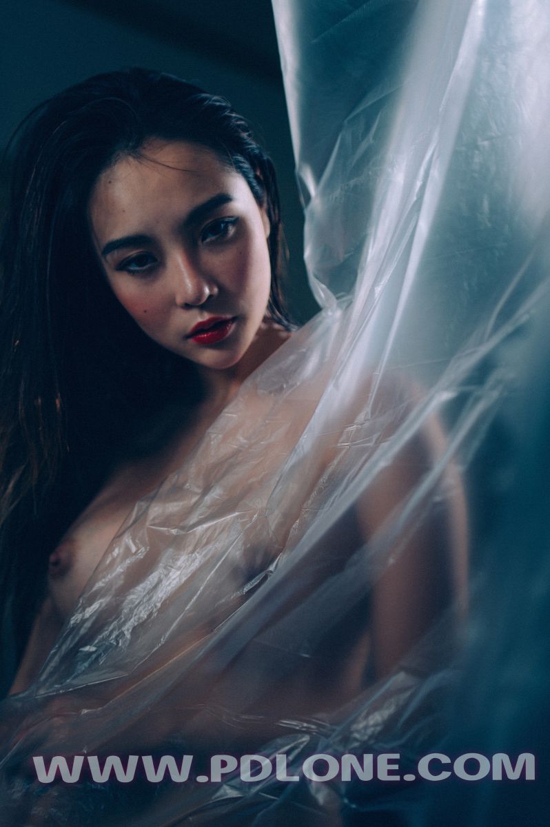 [PDL潘多拉] 2019.01.24 NO.327 [35+1P-319M]插图