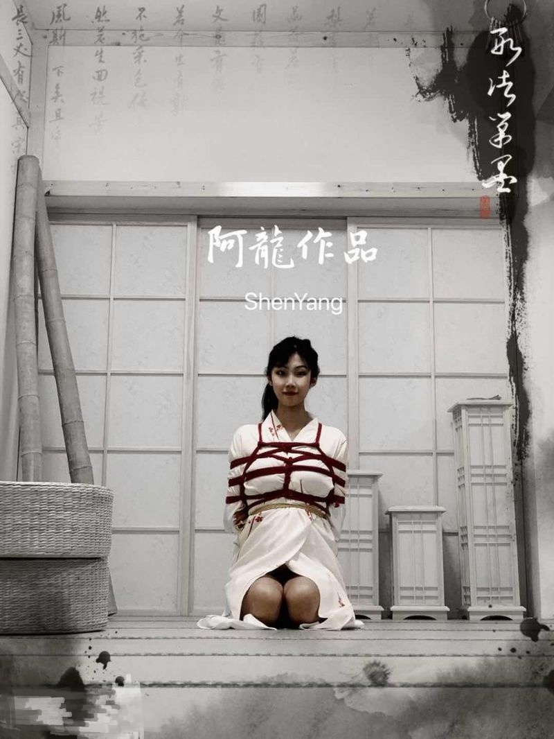 调教大神 阿龍 私拍【389P92V】插图